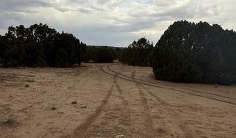 31 County Road 3044, Concho, AZ 85924