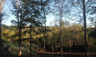 BATESVILLE RD lot 2, Afton, VA 22920