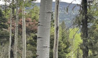 Lot 1419 Sacramento, Angel Fire, NM 87710