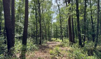 Fox Paw Court, Branchville, SC 29432