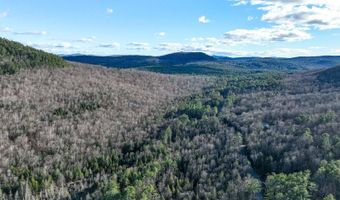 385 Johnson Rd, Adirondack, NY 12808