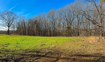 0 Mifflin Rd, Beech Bluff, TN 38313