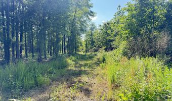 Perkins Road, Barnesville, GA 30204