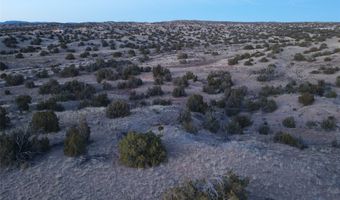 Tbd Fort Defina, Abiquiu, NM 87510