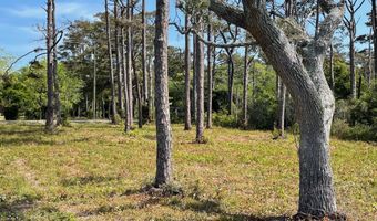 540 Seashore Dr, Atlantic, NC 28511
