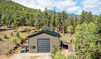 11982 Peak To Peak Dr, Allenspark, CO 80510