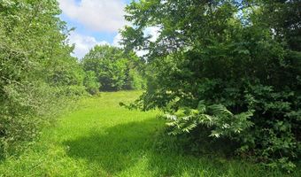 CAHILL DR, Angleton, TX 77515