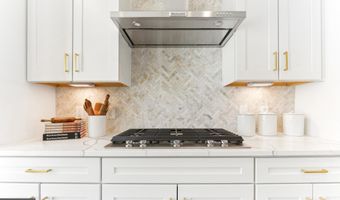 43763 ORCHID DOVE Ter, Ashburn, VA 20147
