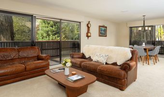 400 W Hopkins Ave 5, Aspen, CO 81611