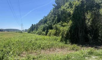 HIGHWAY 431 lot 0, Alexandria, AL 36250