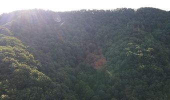 43 Sanctuary Ln, Alderson, WV 24910