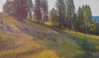 Summitview Dr, Ahsahka, ID 83520