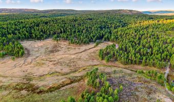 1 A FOREST ROAD 26, Alpine, AZ 85920