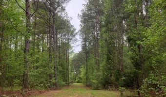 GALES ROAD, Appling, GA 30802