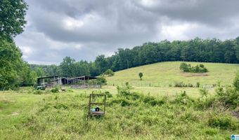 988 MINES Rd 100, Ashland, AL 36251