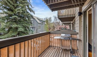 720 W Hopkins Ave Unit D, Aspen, CO 81611