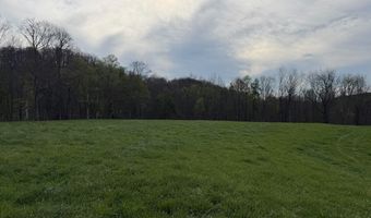 1999 Snake Run Rd, Alderson, WV 24910