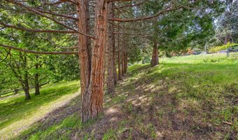 Terrace Street, Ashland, OR 97520