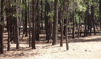 8 B County Road 2267 Escudilla Rd, Alpine, AZ 85920
