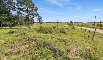 6779 County Road 215, Anderson, TX 77830