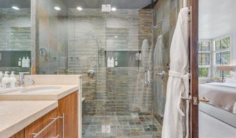708 E Hyman Ave, Aspen, CO 81611