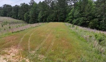 Low Water LN SW, Brookhaven, MS 39601