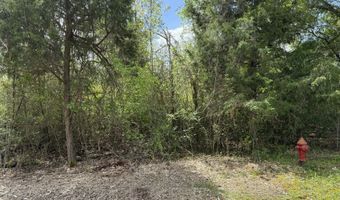 Westwood Drive lot 13, Alford, FL 32420