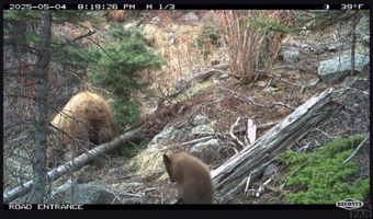 Spanish Peaks Dr, Aguilar, CO 81020