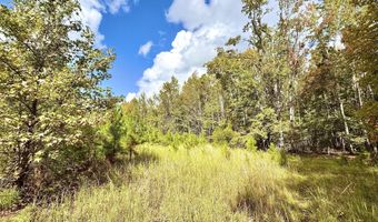 Eugene Ward Road, Adrian, GA 31002