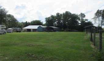 8500 NE 41ST Ct, Anthony, FL 32617