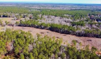 1 Mixon Rd, Amite, LA 70422