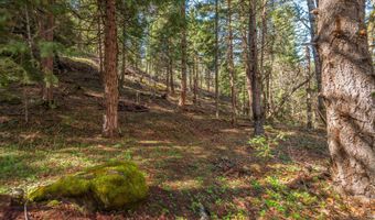 2829 Buckhorn Springs Rd, Ashland, OR 97520