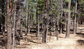 8 B County Road 2267 Escudilla Rd, Alpine, AZ 85920