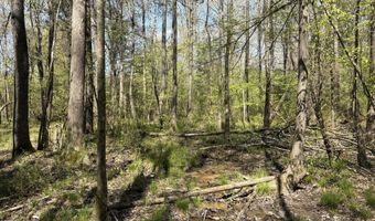SW Auburn Drive, Bogue Chitto, MS 39629