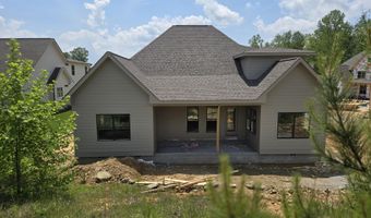 10597 Brownspring Dr 115, Apison, TN 37302