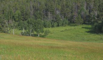 381 OLD CAMP Rd, Bellvue, CO 80512