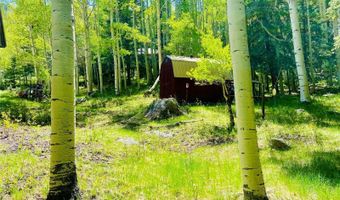 210 S Riverview Dr, Antonito, CO 81120