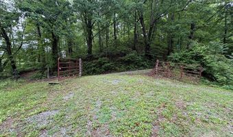 88 Angus Rd, Anawalt, WV 24808