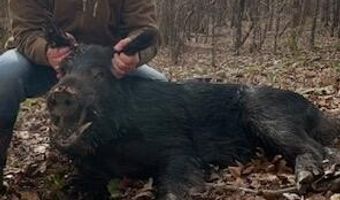 Beck Springs, Ashland, MS 38603