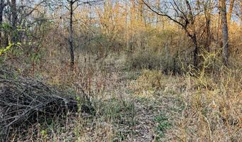 0002 CR-290, Asbury, MO 64832