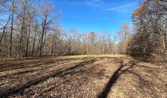 OFF OF SULPHUR CREEK RD, Big Sandy, TN 38221