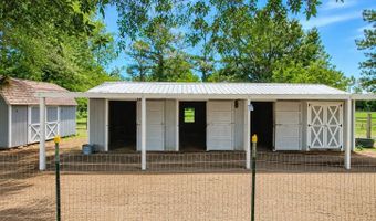 12820 NW 116TH Pl, Alachua, FL 32615