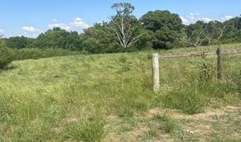 19 27 Acres County Road 656, Anderson, AL 35610