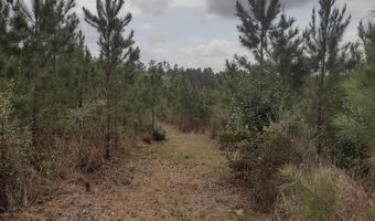 Phillipsville Road lot # 8, Bay Minette, AL 36507