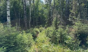 8002 HOLLY Ln, Alvin, WI 54542