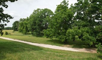 Tract 1 0000 Private Road 1184, Aurora, MO 65605