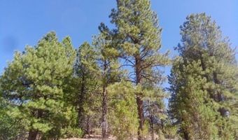 1430 W Elk Ridge Dr, Alton, UT 84710