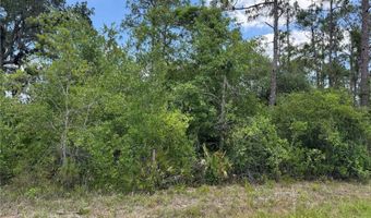 SW FLORIDA ROAD, Arcadia, FL 34266