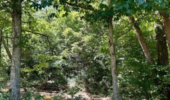 18781 Private Drive 1145, Ava, MO 65608