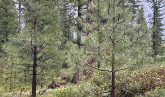 27 Sawtooth Loop Lot 23, Cascade, ID 83611